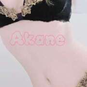 ヒメ日記 2025/06/06 09:15 投稿 藤澤あかね キュア＆マジック