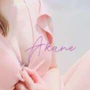 ヒメ日記 2025/08/01 21:05 投稿 藤澤あかね キュア＆マジック