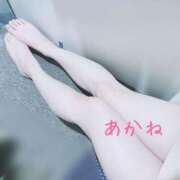 ヒメ日記 2025/08/12 21:00 投稿 藤澤あかね キュア＆マジック