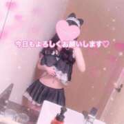 ヒメ日記 2025/04/07 16:42 投稿 白鳥みずき キュア＆マジック