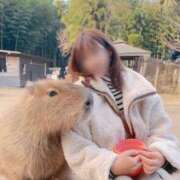 ヒメ日記 2024/12/26 16:09 投稿 ちひろ 奥様鉄道69 東京店