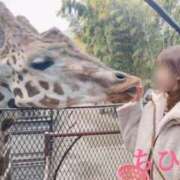 ヒメ日記 2024/12/28 13:25 投稿 ちひろ 奥様鉄道69 東京店