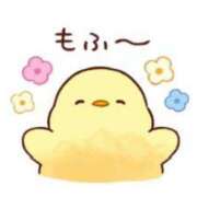 ヒメ日記 2025/02/02 10:45 投稿 ちひろ 奥様鉄道69 東京店