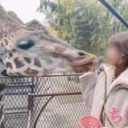 ヒメ日記 2025/02/28 18:45 投稿 ちひろ 奥様鉄道69 東京店