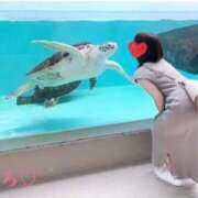 ヒメ日記 2025/03/02 14:35 投稿 ちひろ 奥様鉄道69 東京店