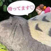 ヒメ日記 2026/01/03 16:15 投稿 ちひろ 奥様鉄道69 東京店