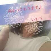 ヒメ日記 2025/09/09 09:05 投稿 いおり 奥様鉄道69 東京店