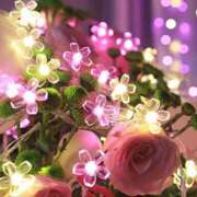 ヒメ日記 2024/12/23 13:08 投稿 若菜 出会い系人妻ネットワーク 新宿〜池袋編