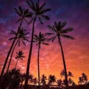 ヒメ日記 2025/06/13 17:37 投稿 若菜 出会い系人妻ネットワーク 新宿〜池袋編