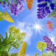 ヒメ日記 2025/06/23 17:45 投稿 若菜 出会い系人妻ネットワーク 新宿〜池袋編