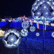 ヒメ日記 2025/07/27 20:29 投稿 若菜 出会い系人妻ネットワーク 新宿〜池袋編