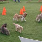 ヒメ日記 2025/09/03 21:30 投稿 若菜 出会い系人妻ネットワーク 新宿〜池袋編