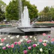 ヒメ日記 2025/09/18 17:56 投稿 若菜 出会い系人妻ネットワーク 新宿〜池袋編