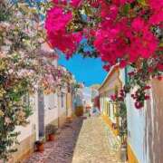 ヒメ日記 2025/09/25 18:34 投稿 若菜 出会い系人妻ネットワーク 新宿〜池袋編