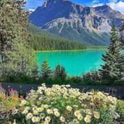 ヒメ日記 2025/10/03 21:15 投稿 若菜 出会い系人妻ネットワーク 新宿〜池袋編