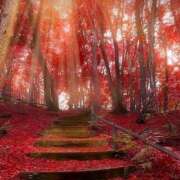 ヒメ日記 2025/10/22 18:40 投稿 若菜 出会い系人妻ネットワーク 新宿〜池袋編