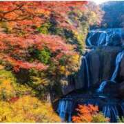 若菜 こんにちは 出会い系人妻ネットワーク 新宿〜池袋編