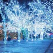 ヒメ日記 2025/12/23 19:52 投稿 若菜 出会い系人妻ネットワーク 新宿〜池袋編