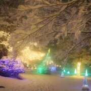 ヒメ日記 2025/12/26 19:38 投稿 若菜 出会い系人妻ネットワーク 新宿〜池袋編