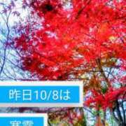 ヒメ日記 2023/10/09 11:50 投稿 綾乃 出会い系人妻ネットワーク 新宿〜池袋編