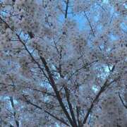 由奈 夕方より 出会い系人妻ネットワーク 新宿〜池袋編