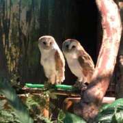 三奈 お久しぶりです 出会い系人妻ネットワーク 新宿〜池袋編