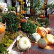 ヒメ日記 2024/12/10 17:30 投稿 ナナ REDROOM (レッドルーム)