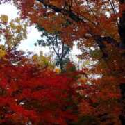 ヒメ日記 2024/12/12 16:30 投稿 ナナ REDROOM (レッドルーム)