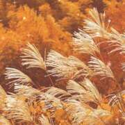 ヒメ日記 2024/12/18 17:30 投稿 ナナ REDROOM (レッドルーム)