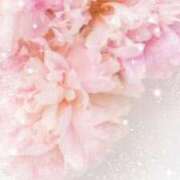 ヒメ日記 2025/01/03 17:30 投稿 ナナ REDROOM (レッドルーム)