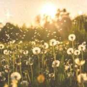 ヒメ日記 2025/01/23 17:30 投稿 ナナ REDROOM (レッドルーム)