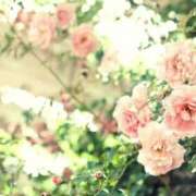 ヒメ日記 2025/02/26 17:30 投稿 ナナ REDROOM (レッドルーム)