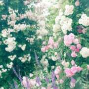 ヒメ日記 2025/02/28 17:30 投稿 ナナ REDROOM (レッドルーム)