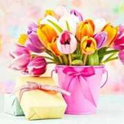 ヒメ日記 2025/03/04 17:30 投稿 ナナ REDROOM (レッドルーム)