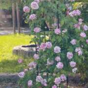 ヒメ日記 2025/03/13 17:30 投稿 ナナ REDROOM (レッドルーム)