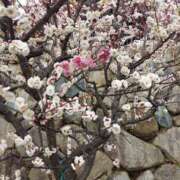 ヒメ日記 2025/03/19 17:30 投稿 ナナ REDROOM (レッドルーム)