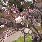 ヒメ日記 2025/03/21 17:30 投稿 ナナ REDROOM (レッドルーム)