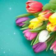 ヒメ日記 2025/03/22 17:30 投稿 ナナ REDROOM (レッドルーム)