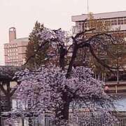 ヒメ日記 2025/04/11 17:30 投稿 ナナ REDROOM (レッドルーム)