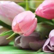 ヒメ日記 2025/04/26 17:31 投稿 ナナ REDROOM (レッドルーム)