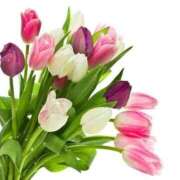 ヒメ日記 2025/04/29 17:30 投稿 ナナ REDROOM (レッドルーム)