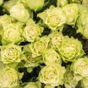 ヒメ日記 2025/05/03 17:30 投稿 ナナ REDROOM (レッドルーム)