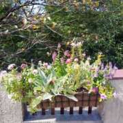 ヒメ日記 2025/05/10 17:30 投稿 ナナ REDROOM (レッドルーム)