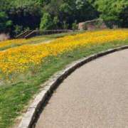 ヒメ日記 2025/05/23 17:30 投稿 ナナ REDROOM (レッドルーム)