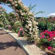 ヒメ日記 2025/05/28 17:30 投稿 ナナ REDROOM (レッドルーム)