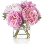 ヒメ日記 2025/06/09 15:30 投稿 ナナ REDROOM (レッドルーム)