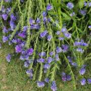 ヒメ日記 2025/06/15 16:30 投稿 ナナ REDROOM (レッドルーム)