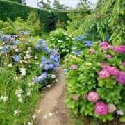 ヒメ日記 2025/06/17 17:30 投稿 ナナ REDROOM (レッドルーム)