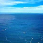 ヒメ日記 2025/07/01 17:30 投稿 ナナ REDROOM (レッドルーム)