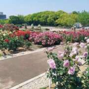 ヒメ日記 2025/07/06 16:30 投稿 ナナ REDROOM (レッドルーム)